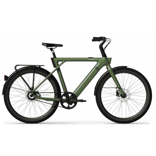 Tenways CGO009 - 28 Zoll 374Wh 1N Diamant - Jungle Green