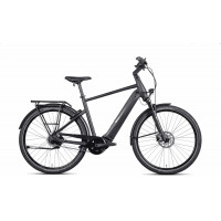 Mammut Edition 5 CX - 28 Zoll 750Wh 5N Diamant - Matte Black