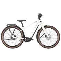 BULLS STURMVOGEL EVO - 29 Zoll 800Wh 5N Diamant - metallic off-white