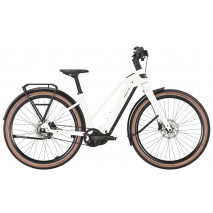 BULLS STURMVOGEL EVO - 29 Zoll 800Wh 5N Trapez - metallic off-white