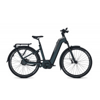 Kalkhoff ENTICE 5+ ADVANCE BELT - 29 Zoll 800Wh Enviolo Wave - darksprings / jetgrey matt