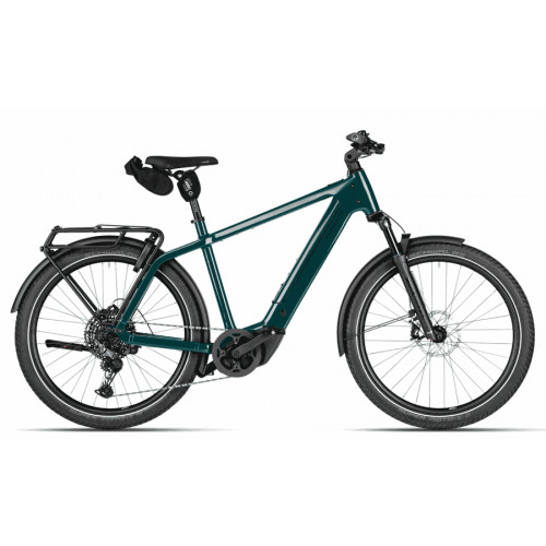 Riese & Müller Charger5 touring - 27,5 Zoll 800Wh 11K Diamant - pine