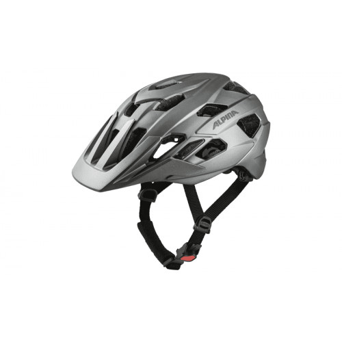 Alpina ANZANA L.E. - darksilver