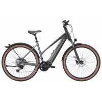 BULLS Cross Rider EVO 2 - 29 Zoll 750Wh 11K Trapez - black matt / grey matt